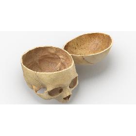 3D Real Human Skull Cranial 02 Cut With Piece Pose 01